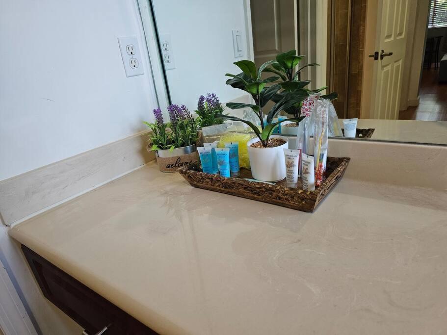 D&N Property Rental マイアミ エクステリア 写真